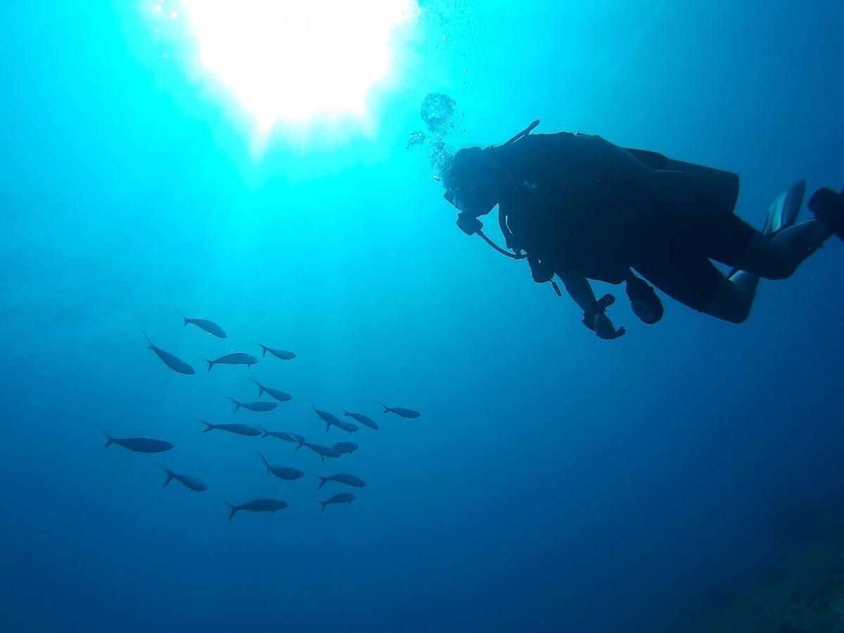 East Lombok Dive Hotel - 3 Private Rooms On The Beach With Seaview & Scuba Diving Center Labuhan Pandan ภายนอก รูปภาพ